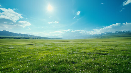 Fototapeta premium Grassland with blue sky