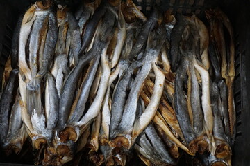 Fresh caught salted dried fish are being sold on a fish market, Closeup shot of big dried fish on a seafood market, Salted dried fish on the local Asian market