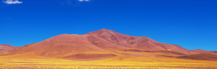 Northern Argentina