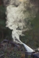 Beekeeper is working with bees and beehives on the apiary.