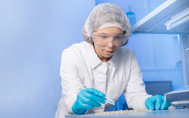 Worker chemist in laboratory test nut pine cedar in tweezers of , blue background. Concept Food...