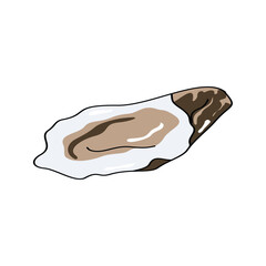 Seafood Vector Collection oyster