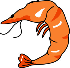 Seafood Vector Collection shrimp