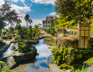 A picturesque Monte Palace tropical garden in Funchal on Madeira. Reflective pond surrounded by...