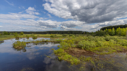 A serene view of a flooded wetland area during springtime. The sky is a mix of blue and white clouds, reflecting on the still water. Lush greenery lines the edges of the flooded area.