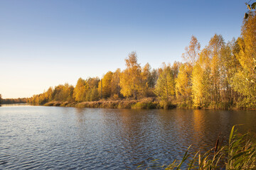 Obraz premium A calm lake with trees in the background