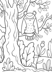 A cartoon sleeping owl in the tree illustration,coloring page for kids.