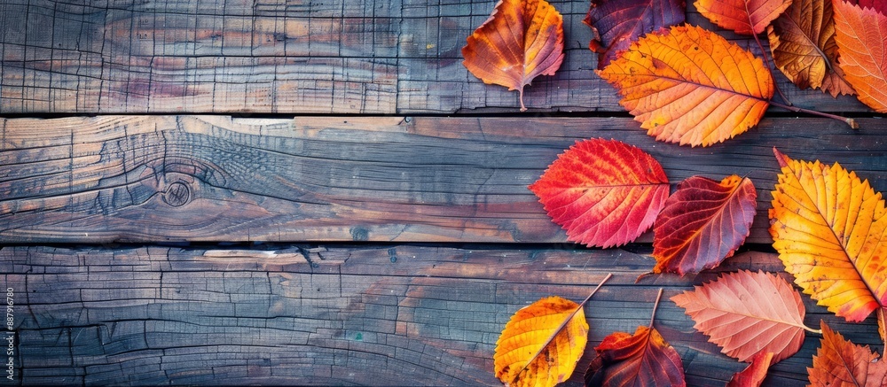 Fototapete Colorful autumn leaves on a wooden background viewed from above with space for text in the image. with copy space image. Place for adding text or design
