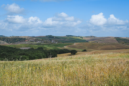tuscany landscape of hilly fields