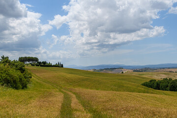 Obraz premium tuscany landscape of hilly fields and car path
