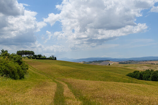 tuscany landscape of hilly fields and car path