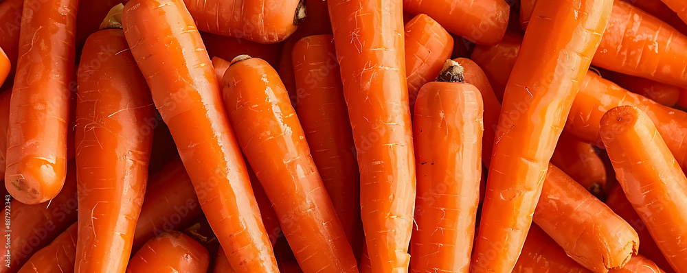 Wall mural Close up orange Fresh vegetable juicy carrots background