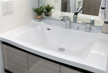 日本の一般的な住宅の洗面室