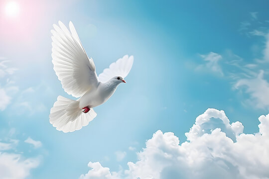 Sky Funeral Background With White Dove, Copy Space For Text