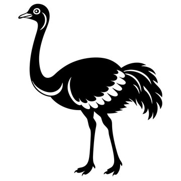 recommend clip art: Ostrich icon vector line art illustration