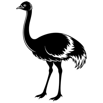 recommend clip art: Ostrich icon vector line art illustration