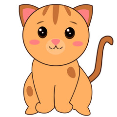 cute little cat