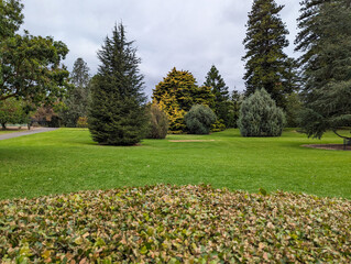 Obraz premium Beautiful park surrounded by different trees in the botanic garden of Adelaide