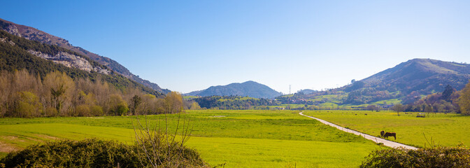 Valley on a sunny day. Dirt road through the field to El Mazo, Asturias, Spain