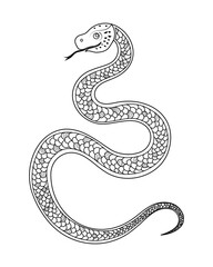 A snake with a long body and a black head. The snake has a black and white pattern on its body