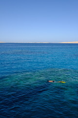 Snorkeler Exploring Vibrant Coral Reef
