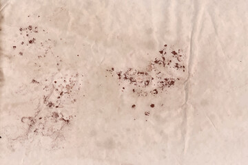 Old Paper texture background of old page isolated on brown long, web, background. Vector illustration. Image trace.