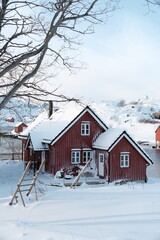 Snow-Covered Red Cabin in Winter Landscape