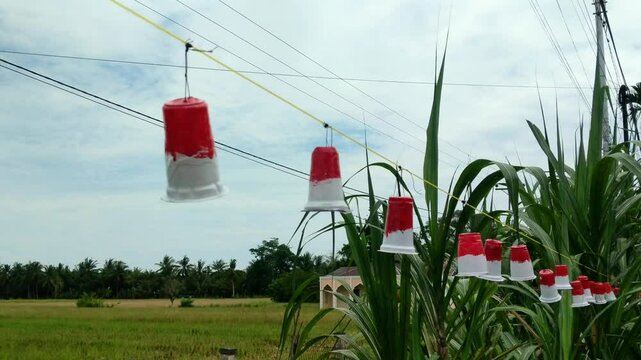 Recycled plastic cup decorations painted in red and white to commemorate August 17 2024