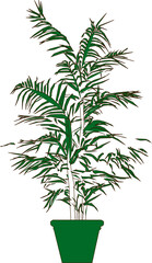 Vector silhouette illustration sketch, detailed design of ornamental flower plants in pots for indoor and garden interior decoration