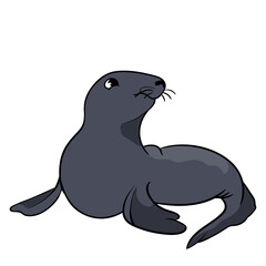 seal cartoon vector cute illustration