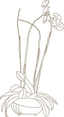 Vector silhouette illustration sketch, detailed design of ornamental plants in pots for room interior decoration