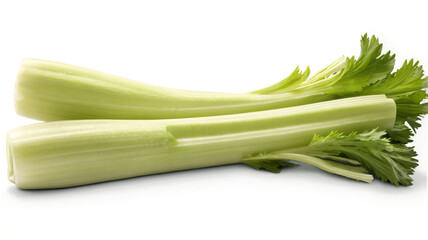 Obraz premium Useful herb celery on transparent background