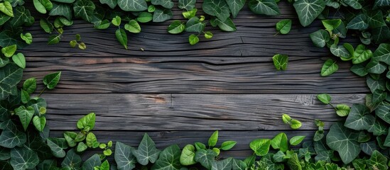 Gray wooden backdrop adorned with vibrant green leaves offering ample copy space image