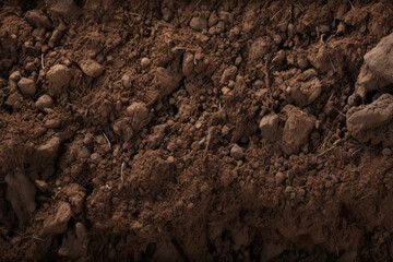 Fototapeta premium Processed collage of underground brown soil layer material texture. Background for banner
