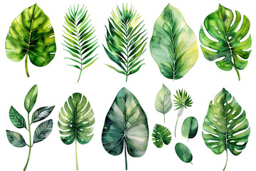 Fototapeta premium Watercolor Illustration of Tropical Leaves