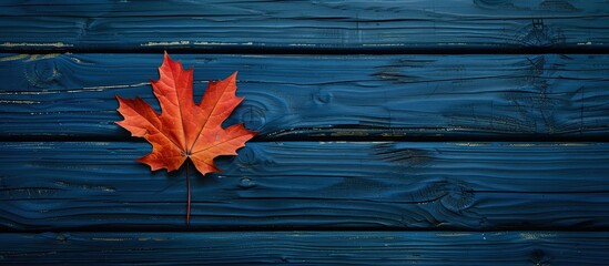 Obraz premium Autumn leaf displayed on a dark blue wooden backdrop embodying the fall season with copy space image