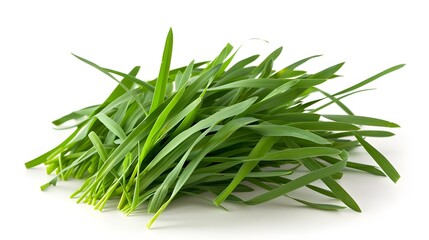 Fototapeta premium green grass isolated on white