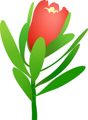 flower png