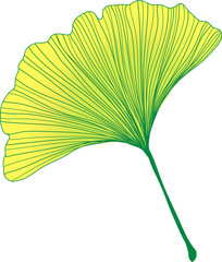 flower png