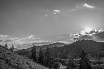 Landscapes -  Forest - Europe, Romania, Suceava region