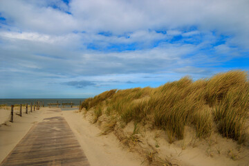 Wooden path over the dunes to the beach in the Netherlands in Petten aan Zee on a windy day with...