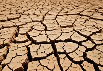The surface of the soil is dry and cracked. natural environment Drought on the ground