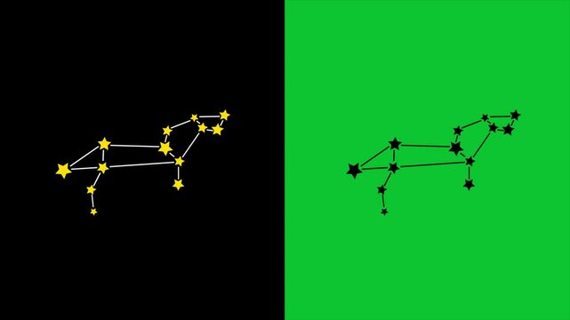 Animation of Lio sign with stars on black background. Zodiac signs, stars and horoscope concept, Lio star animated in black night sky