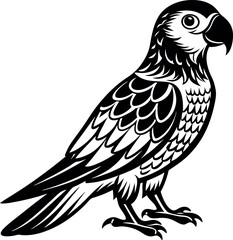 Fototapeta premium Cute Parrot cartoon collection, isolated on white background 