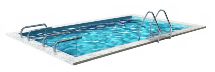 Rectangular Swimming Pool with Metal Ladder