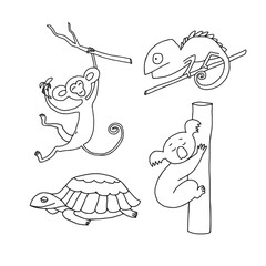 Hand drawn doodle animals. Chameleon, monkey, koala and turtle.