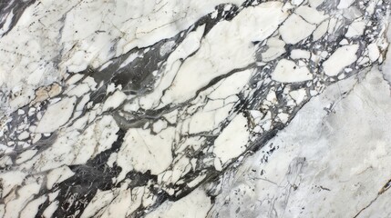 White Marble Texture With Grey Veins.