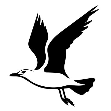 recommend clip art: Seagull SVG vector transparent background PNG clipart
