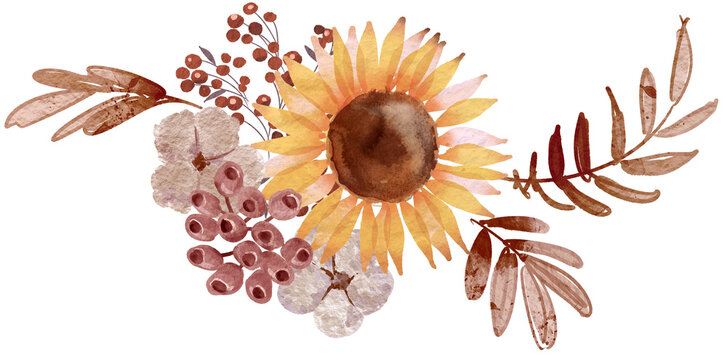 Watercolor digitally painted autumn sunflowers illustration. PNG transparent terracotta and yellow flowers and leaves