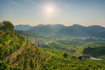 Prosecco Hills, vineyards panorama in the morning. Unesco Site. Valdobbiadene, Italy